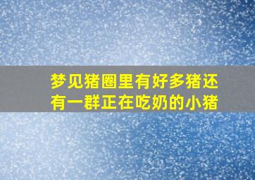 梦见猪圈里有好多猪还有一群正在吃奶的小猪