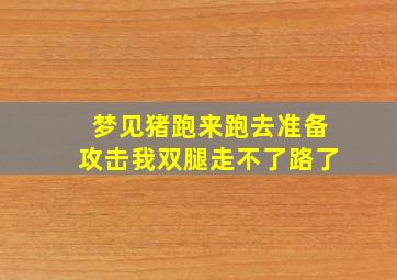 梦见猪跑来跑去准备攻击我双腿走不了路了