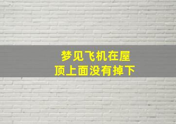 梦见飞机在屋顶上面没有掉下