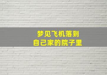 梦见飞机落到自己家的院子里