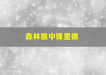 森林狼中锋里德