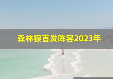 森林狼首发阵容2023年