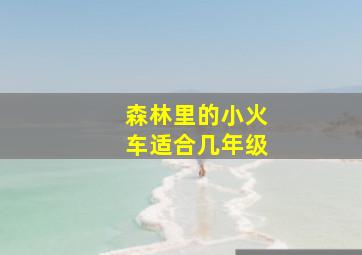 森林里的小火车适合几年级