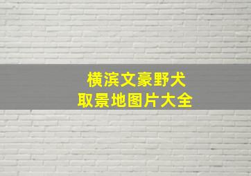 横滨文豪野犬取景地图片大全