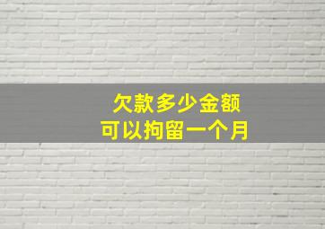 欠款多少金额可以拘留一个月