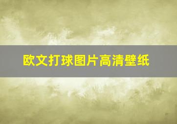 欧文打球图片高清壁纸