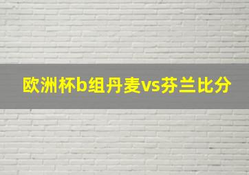 欧洲杯b组丹麦vs芬兰比分