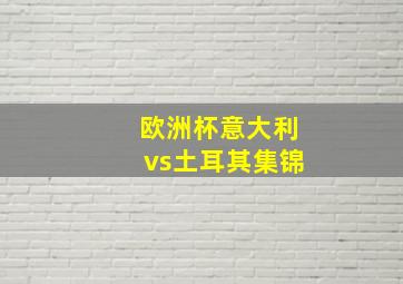 欧洲杯意大利vs土耳其集锦