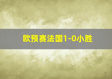 欧预赛法国1-0小胜