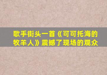 歌手街头一首《可可托海的牧羊人》震撼了现场的观众