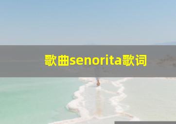 歌曲senorita歌词