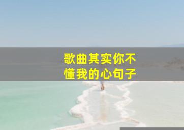 歌曲其实你不懂我的心句子