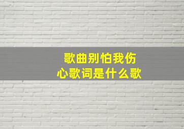 歌曲别怕我伤心歌词是什么歌