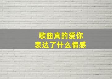 歌曲真的爱你表达了什么情感