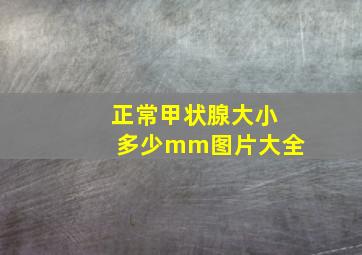 正常甲状腺大小多少mm图片大全