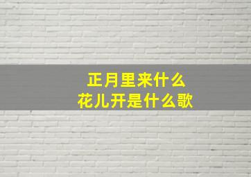 正月里来什么花儿开是什么歌