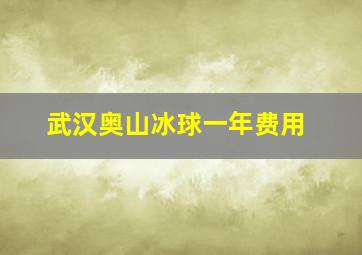 武汉奥山冰球一年费用