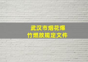 武汉市烟花爆竹燃放规定文件