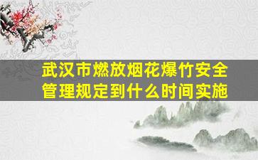 武汉市燃放烟花爆竹安全管理规定到什么时间实施