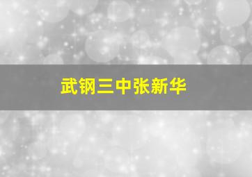 武钢三中张新华