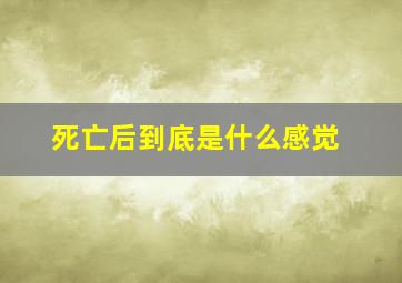 死亡后到底是什么感觉