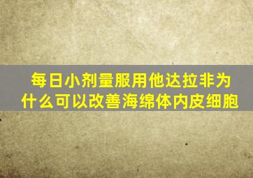 每日小剂量服用他达拉非为什么可以改善海绵体内皮细胞