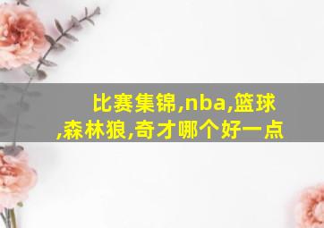 比赛集锦,nba,篮球,森林狼,奇才哪个好一点