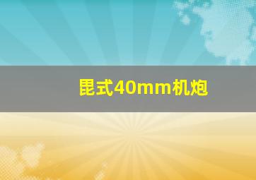 毘式40mm机炮