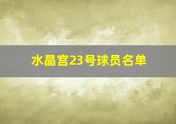 水晶宫23号球员名单