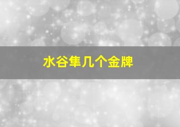 水谷隼几个金牌