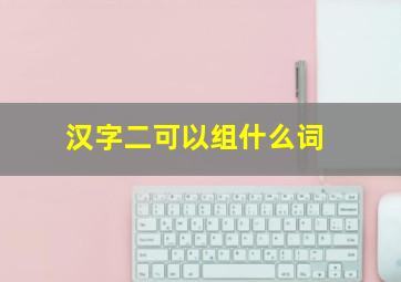 汉字二可以组什么词