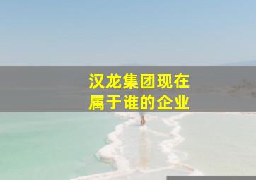 汉龙集团现在属于谁的企业