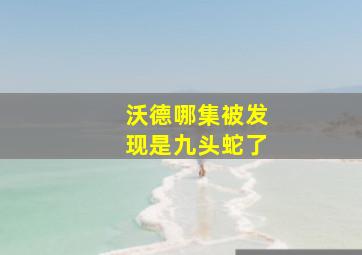 沃德哪集被发现是九头蛇了