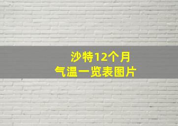 沙特12个月气温一览表图片