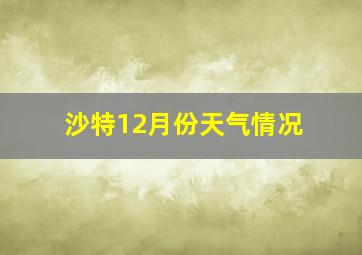 沙特12月份天气情况