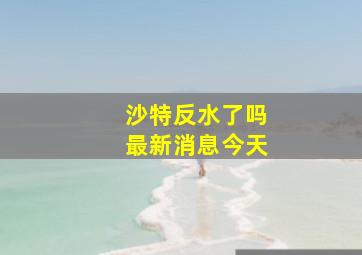 沙特反水了吗最新消息今天