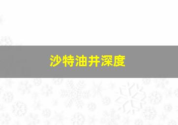 沙特油井深度