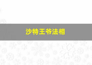 沙特王爷法相