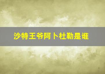 沙特王爷阿卜杜勒是谁