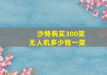 沙特购买300架无人机多少钱一架