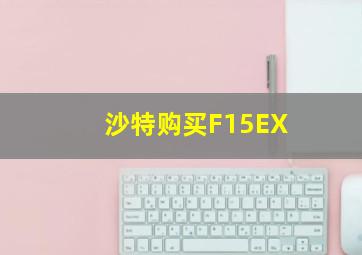 沙特购买F15EX