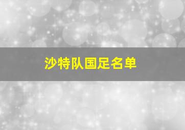 沙特队国足名单