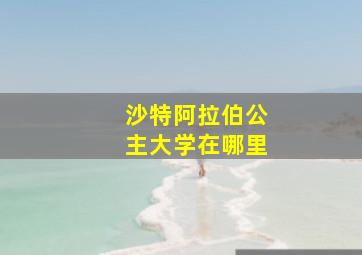 沙特阿拉伯公主大学在哪里