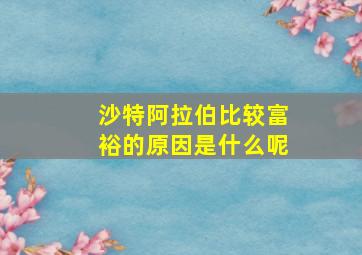 沙特阿拉伯比较富裕的原因是什么呢