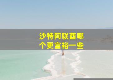 沙特阿联酋哪个更富裕一些