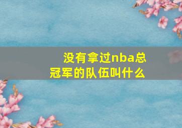 没有拿过nba总冠军的队伍叫什么