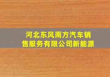 河北东风南方汽车销售服务有限公司新能源