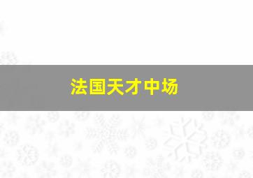 法国天才中场