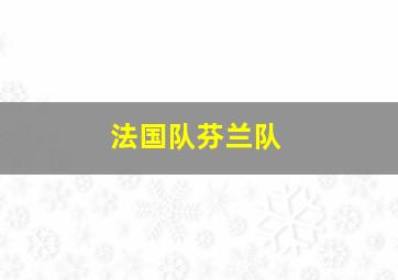 法国队芬兰队