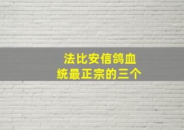 法比安信鸽血统最正宗的三个